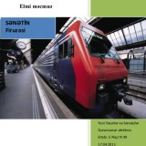 Sənətin  Firuzəsi